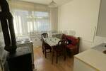 Dvosoban stan, Niš, Nova železnička kolonija, izdavanje, 50m2, 240e, id1339125