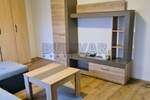Dvosoban stan, Niš, Bulevar Nemanjića, izdavanje, 46m2, 280e, id789616