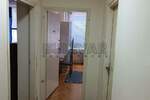 Jednoiposoban stan, Niš, Centar, izdavanje, 43m2, 280e, id1351699