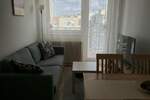 Dvosoban stan, Beograd, Dorcol, izdavanje, 38m2, 700e, id1353289