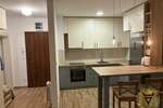 Dvosoban stan, Beograd, Banjica, izdavanje, 50m2, 490e, id1358664