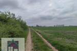 Plac, Beograd, Mislođin, prodaja, 0m2, 15000e, id1360439