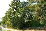 Plac, Beograd, Mala Moštanica, prodaja, 0m2, 25000e, id1360505