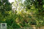 Plac, Beograd, Mala Moštanica, prodaja, 0m2, 25000e, id1360505