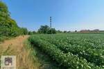 Kuca, Beograd, Veliko polje, prodaja, 150m2, 200000e, id1360588