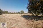 Plac, Beograd, Zabrežje, prodaja, 0m2, 135000e, id1360597