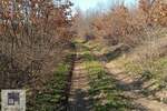 Plac, Beograd, Mislođin, prodaja, 0m2, 16800e, id1360680