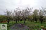 Kuca, Valjevo, prodaja, 49m2, 21000e, id1360692