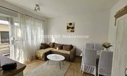 Jednoiposoban stan, Beograd, Ledine, izdavanje, 31m2, 350e, id1363316