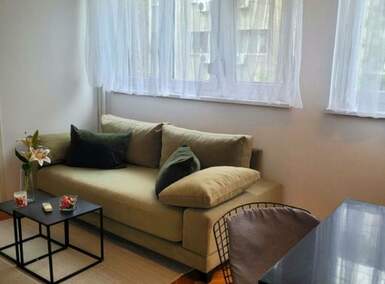 Dvoiposoban stan, Beograd, Skupština, izdavanje, 55m2, 700e, id1358665