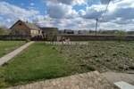 Kuca, Sombor, Žarkovac, prodaja, 225m2, 26000e, id1364605