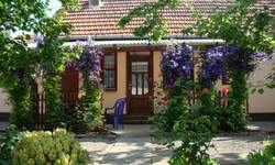 Kuca, Bečej, Donji grad, prodaja, 77m2, 55000e, id1366823