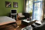 Jednosoban stan, Niš, Centar, izdavanje, 42m2, 300e, id902930