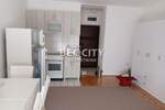 Jednosoban stan, Novi Sad, Centar, izdavanje, 31m2, 250e, id1369147