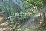 Plac, Beograd, Konatice, prodaja, 20200m2, 110000e, id1370432