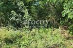 Plac, Beograd, Konatice, prodaja, 20200m2, 110000e, id1370432