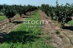 Plac, Pančevo, prodaja, 38500m2, 220000e, id1370446