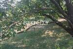 Plac, Beočin, Dumbovo, prodaja, 1300m2, 42000e, id1370825