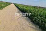 Plac, Beograd, Batajnica, prodaja, 6200m2, 246240e, id1371120