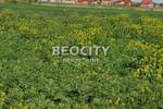 Plac, Beograd, Batajnica, prodaja, 6200m2, 246240e, id1371120