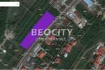 Plac, Beograd, Žarkovo, prodaja, 3000m2, 360000e, id1372353