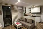 Dvosoban stan, Beograd, Crveni Krst, izdavanje, 35m2, 700e, id1372761
