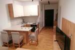 Jednoiposoban stan, Niš, Čair, izdavanje, 36m2, 400e, id988423