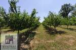Plac, Beograd, Grabovac, prodaja, 0m2, 15000e, id1374679