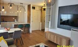 Dvosoban stan, Beograd, Višnjička Banja, izdavanje, 51m2, 550e, id1374685