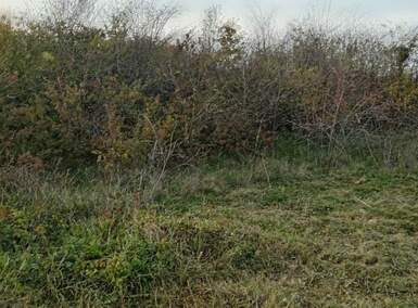 Plac, Beograd, Ripanj, prodaja, 0m2, 115000e, id1275889