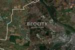Plac, Stara Pazova, Krnješevci, prodaja, 13300m2, 665000e, id1374743