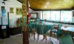 Kuca, Beočin, Čerević, prodaja, 600m2, 200000e, id1374784