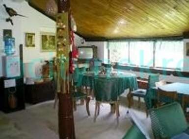 Kuca, Beočin, Čerević, prodaja, 600m2, 200000e, id1374784
