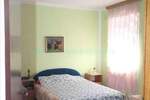 Kuca, Novi Sad, Telep, prodaja, 341m2, 420000e, id1374792