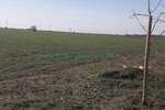 Plac, Beograd, Zemun (novi Grad), prodaja, 10000m2, 900000e, id1374801