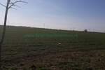 Plac, Beograd, Zemun (novi Grad), prodaja, 10000m2, 900000e, id1374801