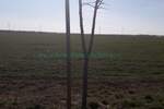 Plac, Beograd, Zemun (novi Grad), prodaja, 10000m2, 900000e, id1374801