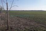 Plac, Beograd, Zemun (novi Grad), prodaja, 10000m2, 900000e, id1374801