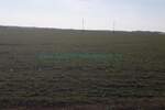Plac, Beograd, Zemun (novi Grad), prodaja, 10000m2, 900000e, id1374801