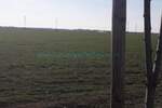 Plac, Beograd, Zemun (novi Grad), prodaja, 10000m2, 900000e, id1374801