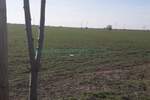 Plac, Beograd, Zemun (novi Grad), prodaja, 10000m2, 900000e, id1374801