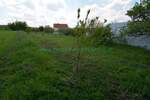Plac, Beograd, Voždovac, prodaja, 800m2, 153500e, id1374808