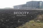 Plac, Pećinci, Šimanovci, prodaja, 14000m2, 280000e, id1374823