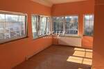 Poslovni prostor / Lokal, Beograd, Zemun (novi Grad), izdavanje, 800m2, 3200e, id1374873