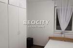 Dvosoban stan, Novi Sad, Detelinara, izdavanje, 40m2, 450e, id1374905