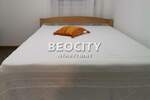 Dvosoban stan, Novi Sad, Detelinara, izdavanje, 40m2, 450e, id1374905