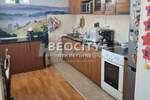 Kuca, Beograd, Rakovica, prodaja, 300m2, 450000e, id1374908
