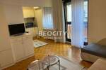 Jednosoban stan, Novi Sad, Centar, izdavanje, 32m2, 300e, id1374917