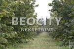 Plac, Srbobran, Centar, prodaja, 63000m2, 290000e, id1374937