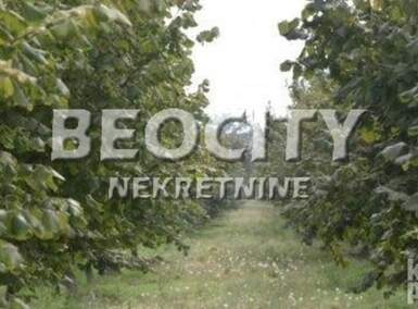 Plac, Srbobran, Centar, prodaja, 63000m2, 290000e, id1374937